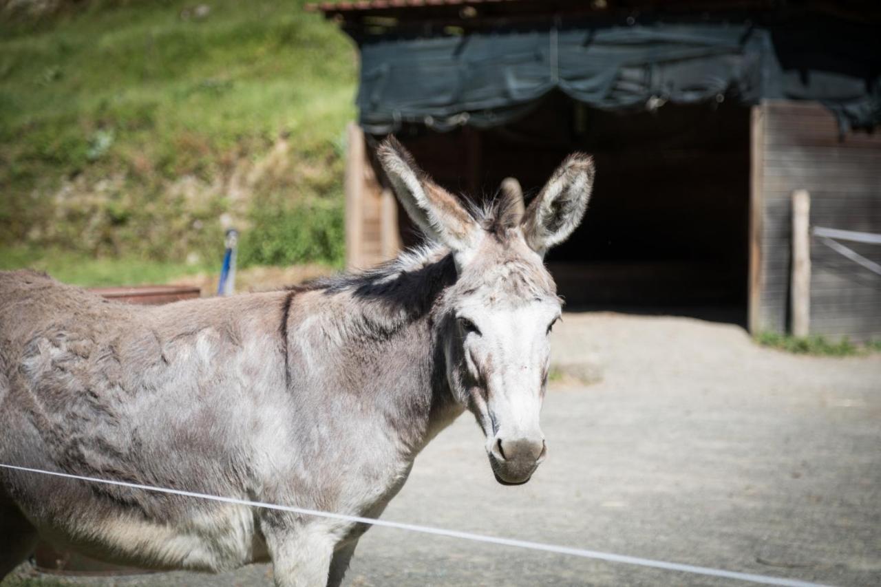 Podere Groppini Fivizzano Exteriér fotografie