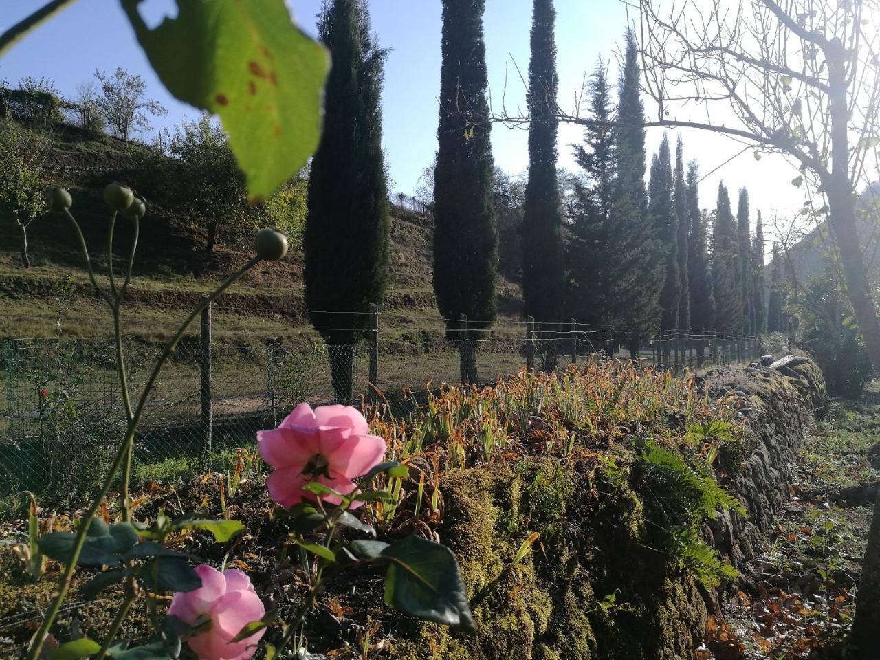 Podere Groppini Fivizzano Exteriér fotografie
