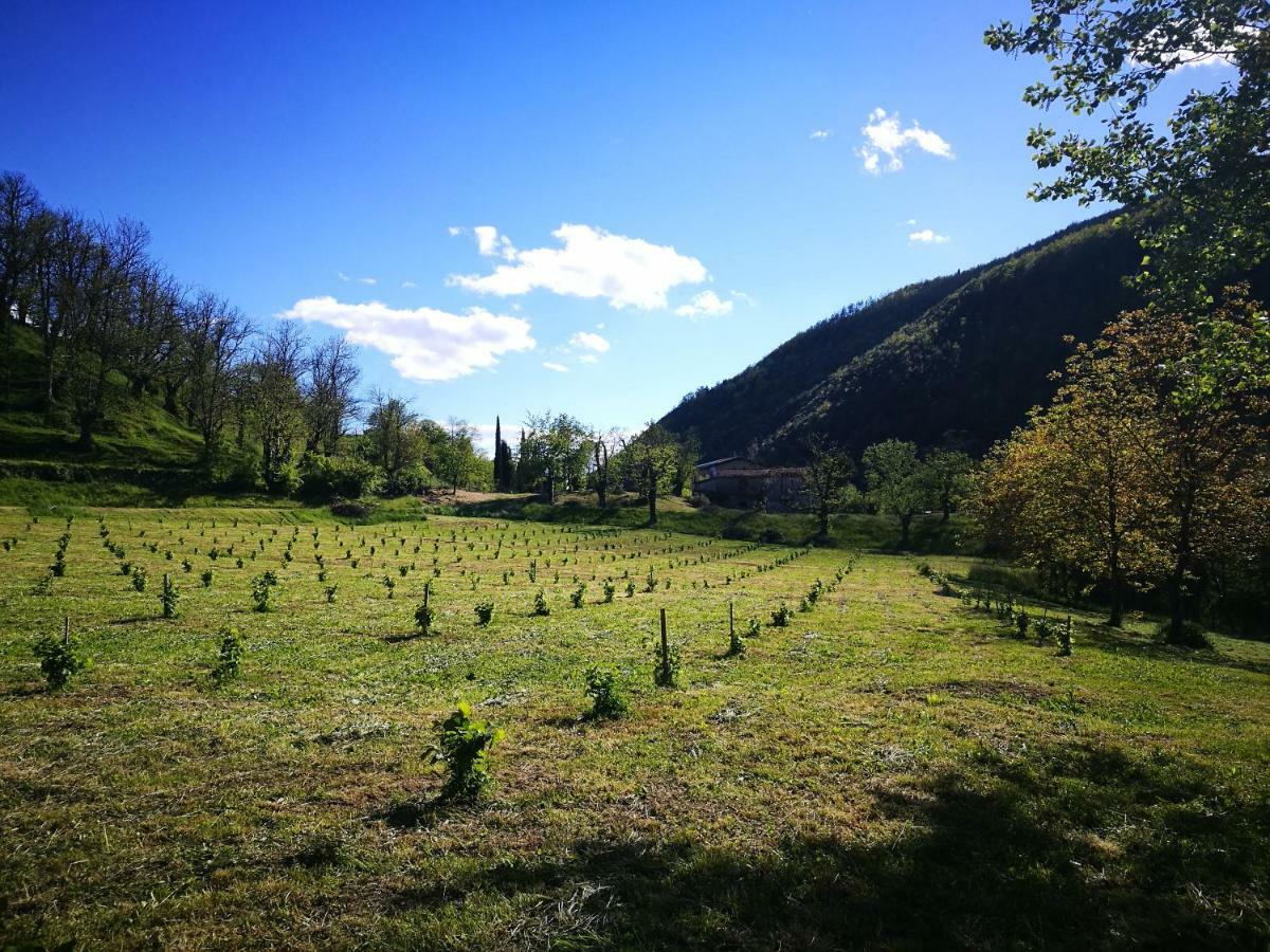 Podere Groppini Fivizzano Exteriér fotografie